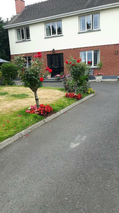 Scapaflow B&B O'Briensbridge Eksteriør bilde